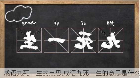 成语九死一生的意思,成语九死一生的意思是什么