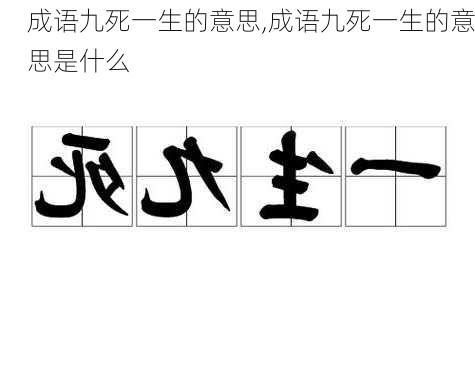 成语九死一生的意思,成语九死一生的意思是什么