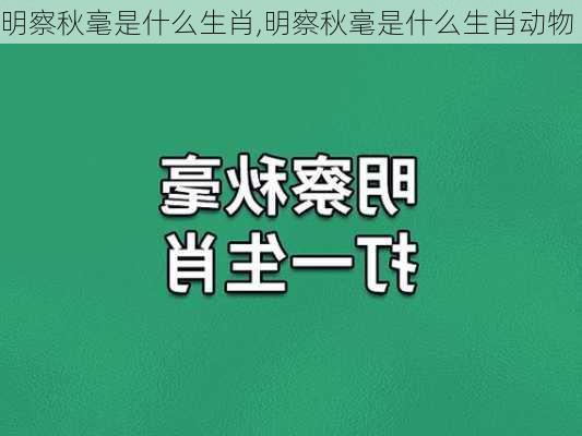 明察秋毫是什么生肖,明察秋毫是什么生肖动物