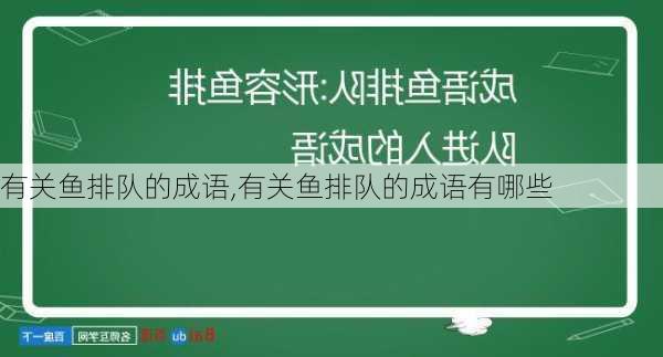 有关鱼排队的成语,有关鱼排队的成语有哪些