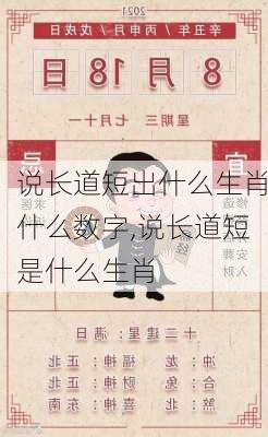 说长道短出什么生肖什么数字,说长道短是什么生肖