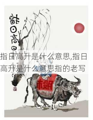 指日高升是什么意思,指日高升是什么意思指的老写