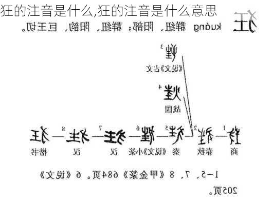 狂的注音是什么,狂的注音是什么意思