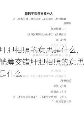 肝胆相照的意思是什么,觥筹交错肝胆相照的意思是什么