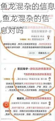 鱼龙混杂的信息,鱼龙混杂的信息对吗