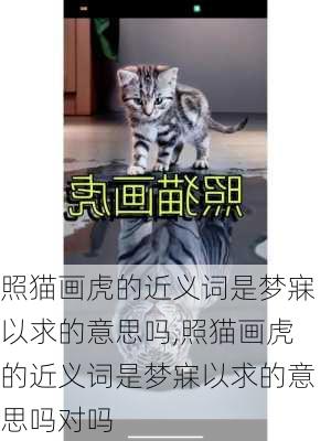 照猫画虎的近义词是梦寐以求的意思吗,照猫画虎的近义词是梦寐以求的意思吗对吗