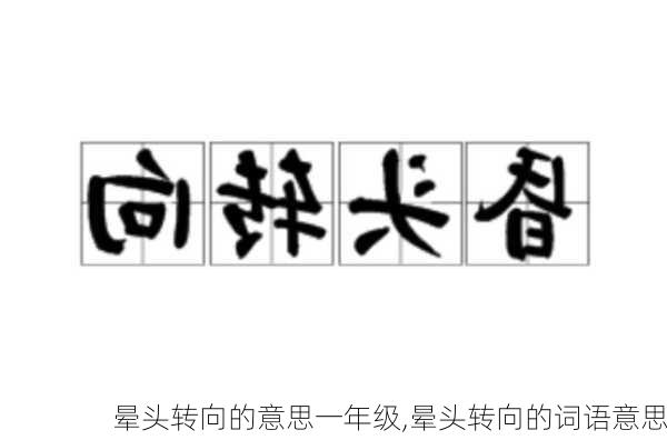 晕头转向的意思一年级,晕头转向的词语意思