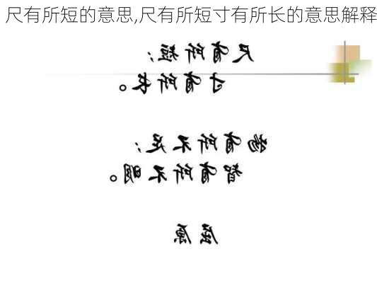 尺有所短的意思,尺有所短寸有所长的意思解释