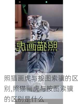 照猫画虎与按图索骥的区别,照猫画虎与按图索骥的区别是什么