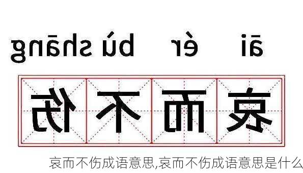 哀而不伤成语意思,哀而不伤成语意思是什么