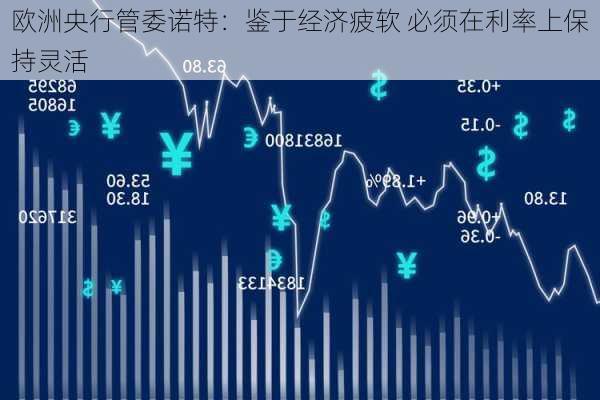 欧洲央行管委诺特：鉴于经济疲软 必须在利率上保持灵活