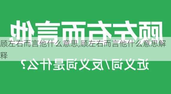 顾左右而言他什么意思,顾左右而言他什么意思解释