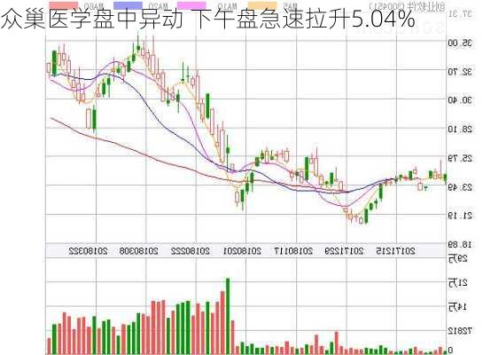 众巢医学盘中异动 下午盘急速拉升5.04%