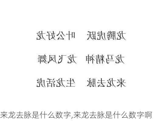 来龙去脉是什么数字,来龙去脉是什么数字啊