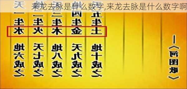 来龙去脉是什么数字,来龙去脉是什么数字啊