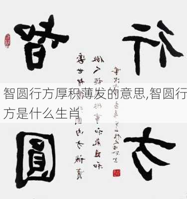 智圆行方厚积薄发的意思,智圆行方是什么生肖