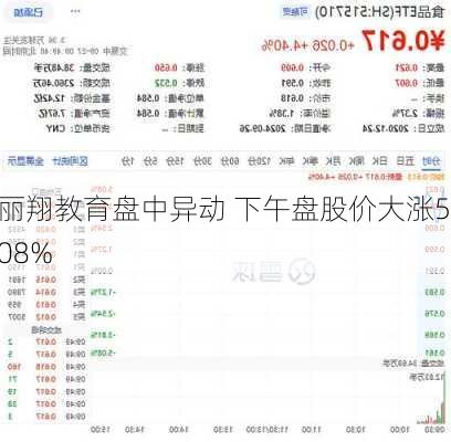 丽翔教育盘中异动 下午盘股价大涨5.08%