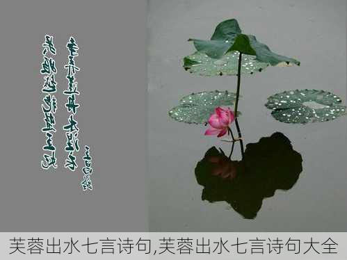 芙蓉出水七言诗句,芙蓉出水七言诗句大全