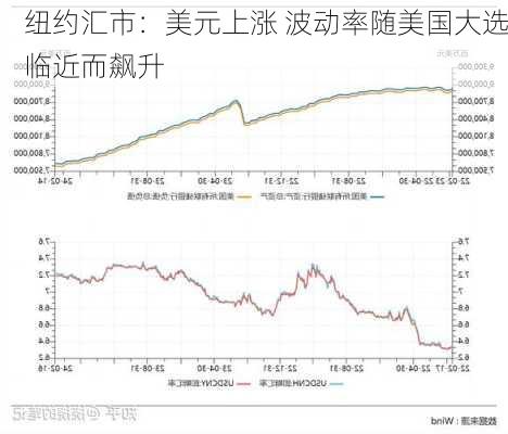 纽约汇市：美元上涨 波动率随美国大选临近而飙升