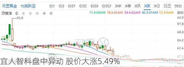 宜人智科盘中异动 股价大涨5.49%