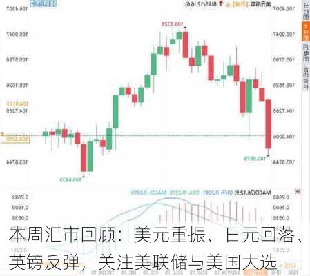 本周汇市回顾：美元重振、日元回落、英镑反弹，关注美联储与美国大选