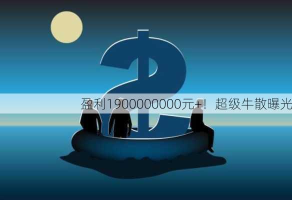 盈利1900000000元+！超级牛散曝光