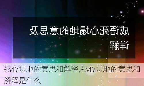 死心塌地的意思和解释,死心塌地的意思和解释是什么