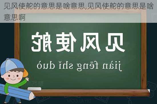 见风使舵的意思是啥意思,见风使舵的意思是啥意思啊