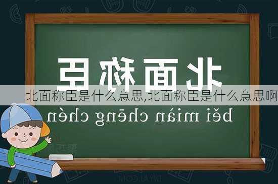 北面称臣是什么意思,北面称臣是什么意思啊