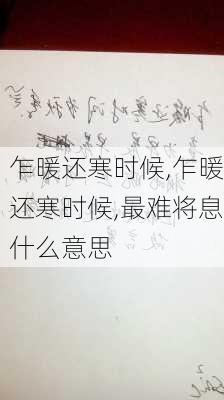 乍暖还寒时候,乍暖还寒时候,最难将息什么意思