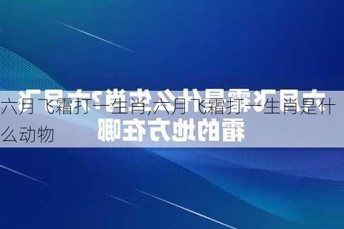 六月飞霜打一生肖,六月飞霜打一生肖是什么动物