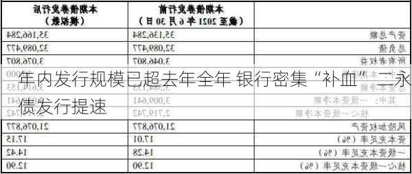 年内发行规模已超去年全年 银行密集“补血” 二永债发行提速