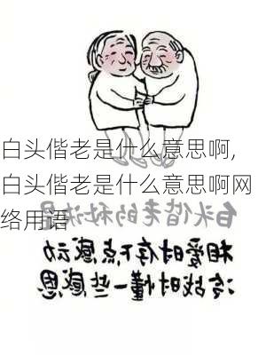 白头偕老是什么意思啊,白头偕老是什么意思啊网络用语