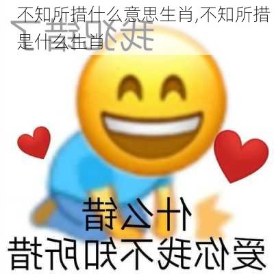 不知所措什么意思生肖,不知所措 是什么生肖