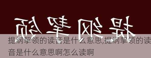 提纲挈领的读音是什么意思,提纲挈领的读音是什么意思啊怎么读啊