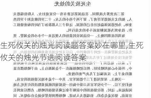 生死攸关的烛光阅读题答案妙在哪里,生死攸关的烛光节选阅读答案