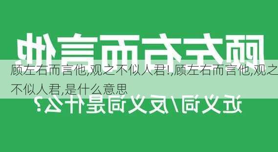 顾左右而言他,观之不似人君!,顾左右而言他,观之不似人君,是什么意思