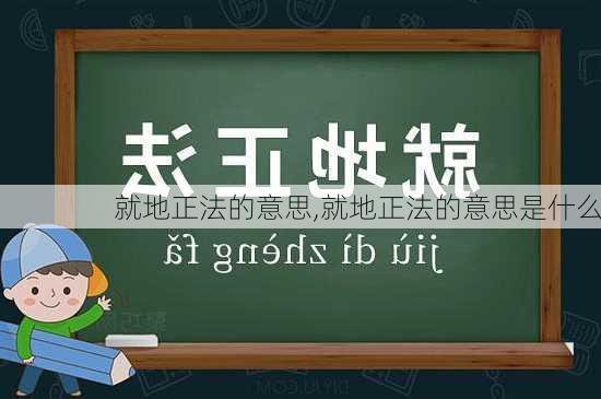 就地正法的意思,就地正法的意思是什么