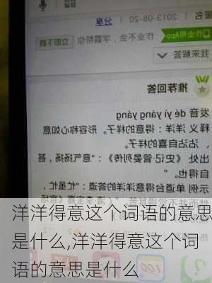 洋洋得意这个词语的意思是什么,洋洋得意这个词语的意思是什么