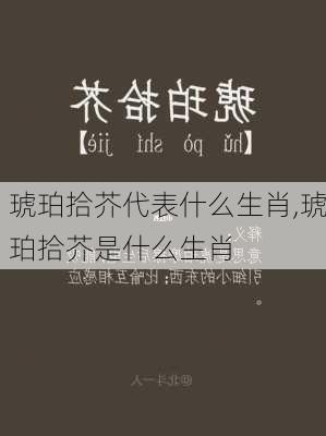 琥珀拾芥代表什么生肖,琥珀拾芥是什么生肖