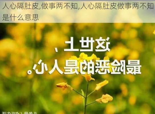 人心隔肚皮,做事两不知,人心隔肚皮做事两不知是什么意思