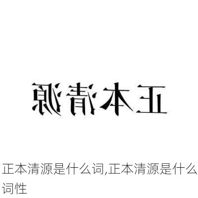 正本清源是什么词,正本清源是什么词性