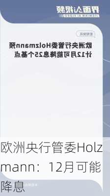 欧洲央行管委Holzmann：12月可能降息