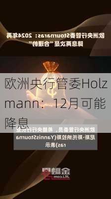 欧洲央行管委Holzmann：12月可能降息