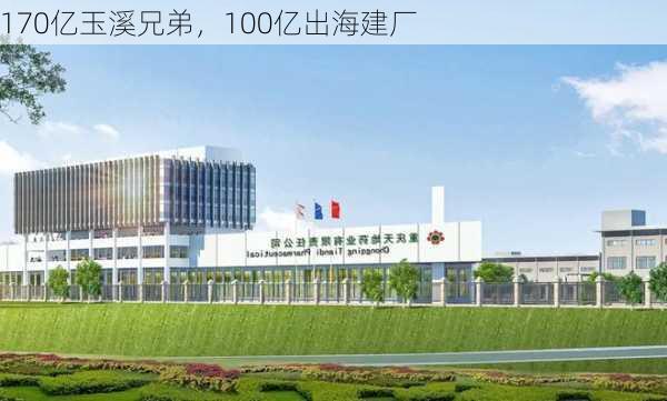 170亿玉溪兄弟，100亿出海建厂