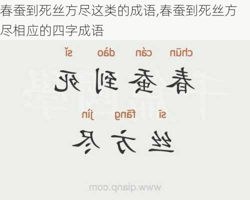 春蚕到死丝方尽这类的成语,春蚕到死丝方尽相应的四字成语