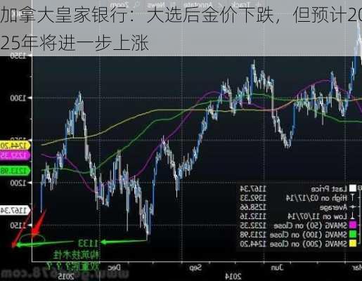 加拿大皇家银行：大选后金价下跌，但预计2025年将进一步上涨