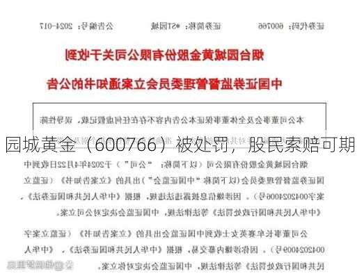 园城黄金（600766）被处罚，股民索赔可期