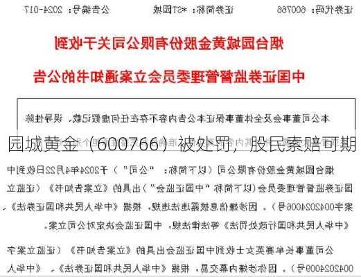 园城黄金（600766）被处罚，股民索赔可期