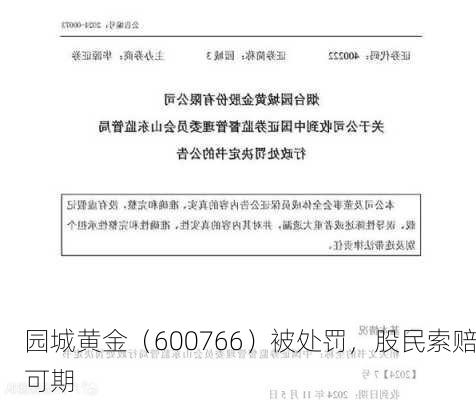 园城黄金（600766）被处罚，股民索赔可期